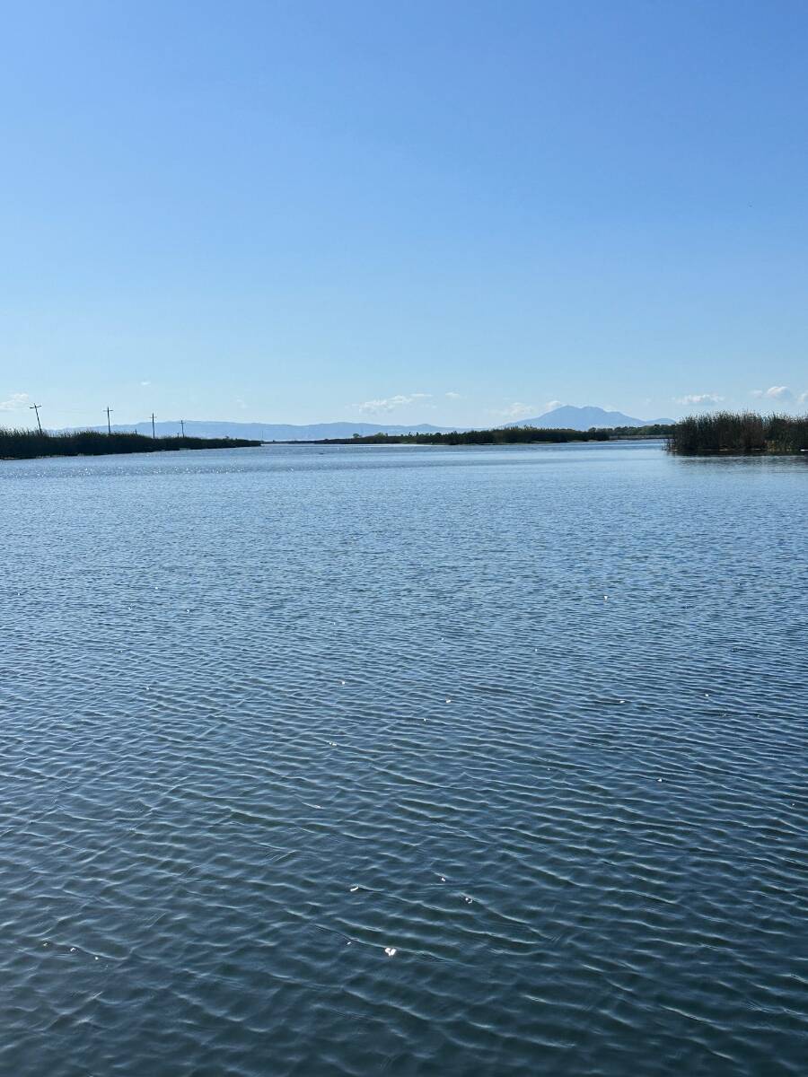 Used Boat Prices Falling Page 42 General Discussion Area